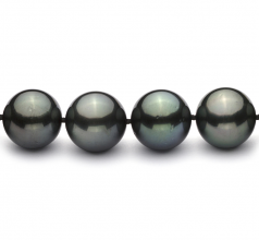 12-12.9mm AAA Quality Tahitian Cultured Pearl Necklace in Black