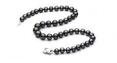 9.5-11mm AAA Quality Tahitian Cultured Pearl Necklace in Black