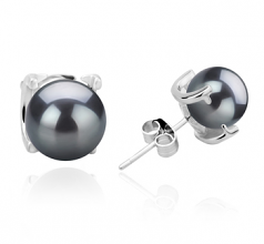 7-8mm AAAA Quality Freshwater Cultured Pearl Earring Pair in Britt Black