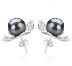 10-11mm AAA Quality Tahitian Cultured Pearl Earring Pair in Abigail Black