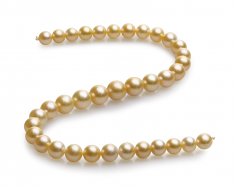 10-13.5mm AAA Quality South Sea Cultured Pearl Necklace in 18-inch Gold
