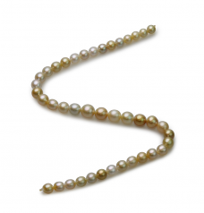 8.2-12mm Baroque Quality South Sea Cultured Pearl Necklace in 18-inch Multicolor