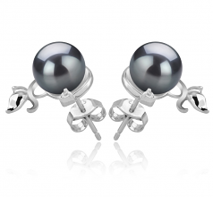 7-8mm AA Quality Japanese Akoya Cultured Pearl Earring Pair in Gilda Black