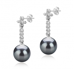 10-11mm AAA Quality Tahitian Cultured Pearl Earring Pair in Raquel Black