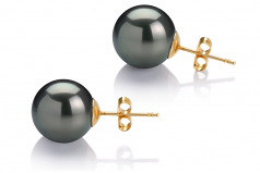 12-13mm AAA Quality Tahitian Cultured Pearl Earring Pair in Black