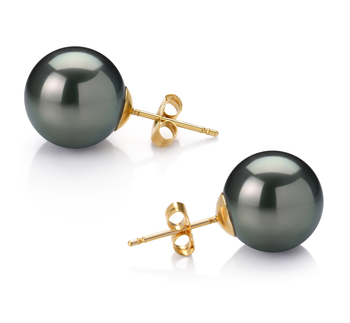 12-13mm AAA Quality Tahitian Cultured Pearl Earring Pair in Black 12-13mm AAA Quality Tahitian Cultured Pearl Earring Pair in Black
