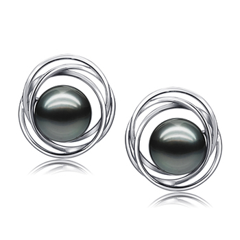 9-10mm AAA Quality Tahitian Cultured Pearl Earring Pair in Triple Circle Stud Black 9-10mm AAA Quality Tahitian Cultured Pearl Earring Pair in Triple Circle Stud Black